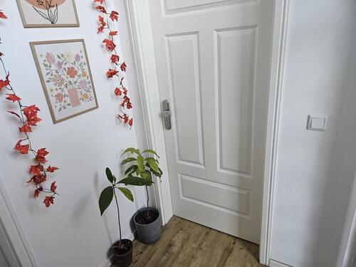 Foto - Etagenwohnung in Halle (Saale) zur Miete