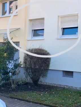 Foto - Erdgeschoßwohnung in Frankfurt am Main zur Miete