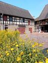 Foto - 5 Zimmer Einfamilienhaus in Elsteraue