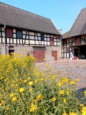 Foto - 5 Zimmer Einfamilienhaus in Elsteraue