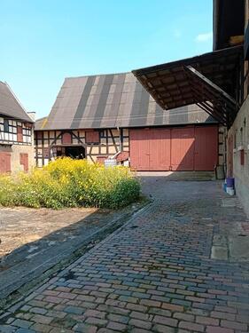 Foto - Einfamilienhaus in Elsteraue zum Kaufen