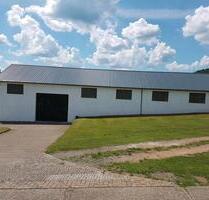 Stellplatz für Wohnwagen Wohnmobil - Fischbach bei Dahn