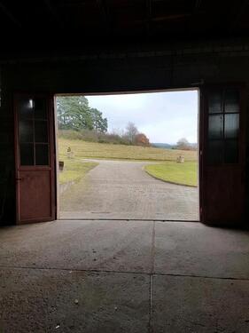 Foto - andere in Fischbach bei Dahn