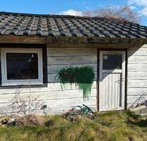 Kleingarten im Kleingartenverein Heidacker zu verpachten - Rheine Altenrheine