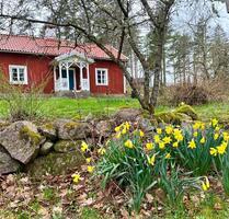 Ferienhaus Schweden Urlaub in der Natur bei Vimmerby in Småland - Oy-Mittelberg