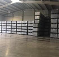 Halle, Lager, Mieten, Fertigung, - Breitenbrunn