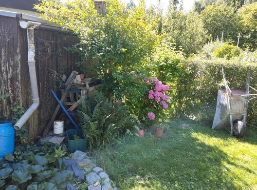 Foto - Grundst&uuml;ck in Papendorf