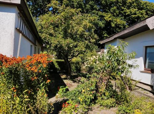 Foto - Grundst&uuml;ck in Papendorf zur Miete