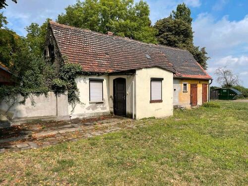 Foto - Einfamilienhaus in Osternienburger Land zum Kaufen