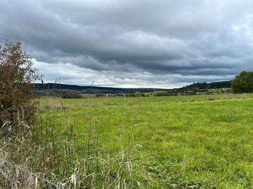 Foto - Einfamilienhaus zum Kaufen in Bad Birnbach