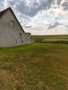 Foto - 5 Zimmer Einfamilienhaus in Mühlberg/Elbe