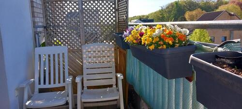 Foto - 