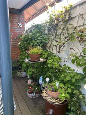 Foto - 6 Zimmer Einfamilienhaus zum Kaufen in Leer (Ostfriesland)