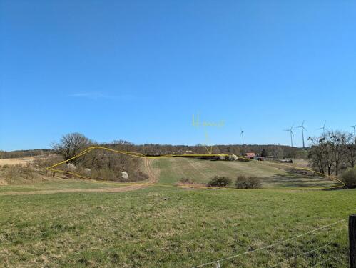 Foto - 