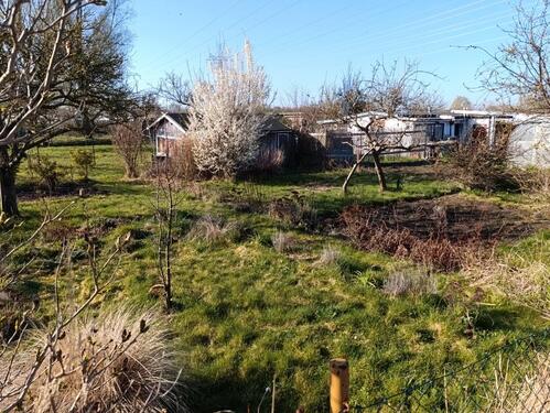 Foto - Kleingarten Parzelle KGV 'Am Waldessaum, Block VI'