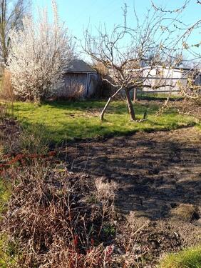 Foto - Grundst&uuml;ck zur Miete in Lambrechtshagen