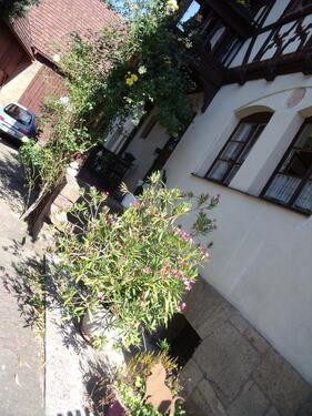 Foto - 2 Zimmer Erdgeschoßwohnung zur Miete in Bad Bocklet