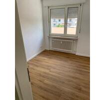 sanierte Einzimmerwohnung in Grünstadt