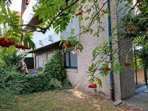 Foto - Schöne Wohnung in Lembruch am Dümmer See