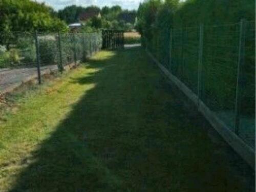 Foto - Grundstück in Sangerhausen zur Miete