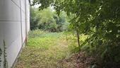 Foto - andere in Kerpen zur Miete