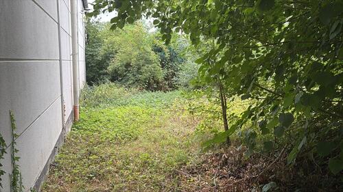 Foto - andere in Kerpen zur Miete