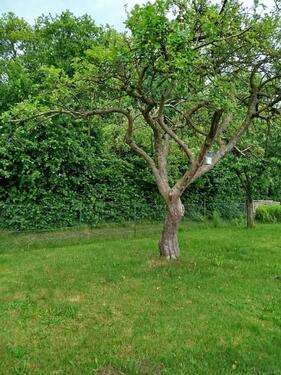 Foto - Grundst&uuml;ck in Lübeck zur Miete