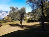 Foto - 