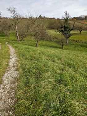 Foto - Grundst&uuml;ck zur Miete in Remshalden