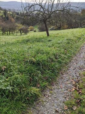 Foto - Grundst&uuml;ck in Remshalden
