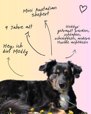 Foto - andere zur Miete in Landshut