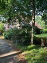 Foto - Einfamilienhaus in ruhiger Wohnlage