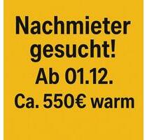 1-Zimmer-Wohnung in Cloppenburg-Emstekerfeld – ab 01.12.2025