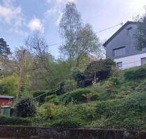 Einfamilienhaus am Rande des Siebengebirges - Königswinter