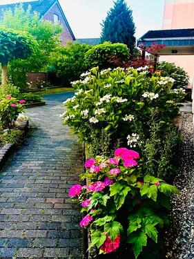 Foto - 4 Zimmer Etagenwohnung in Duisburg