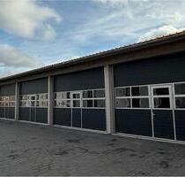 XXL Garagen zu vermieten 55m2 - 650,00&nbsp;EUR Miete, in Frankenthal (Pfalz) (PLZ: 67227)