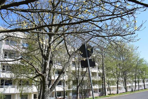Foto - Etagenwohnung in Gotha zur Miete