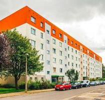 renovierte 3-Raumwohnung in Schönwalde 2 - Greifswald Groß Schönwalde