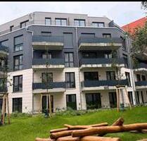 Berlin Gesundbrunnen: Terrassenwohnung zur Miete - Erstbezug