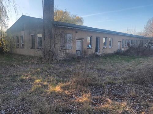 Foto - Einfamilienhaus in Seehausen (Altmark) zum Kaufen