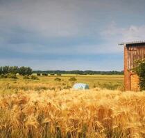 hell und freundliche 5-Raum Wohnung - Barth