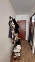 Foto - Erdgeschoßwohnung in Leinfelden-Echterdingen zur Miete