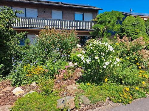 Foto - Ferienwohnung Dorfblick - 55,00 EUR Kaltmiete,