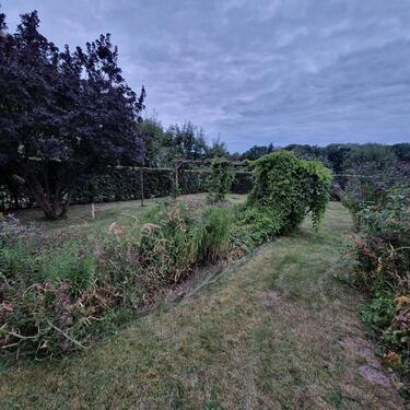 Foto - Grundstück in Pölzig zur Miete