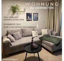 Helles, voll möbliertes 40m²-Appartement mit Südbalkon am Park - Straubing