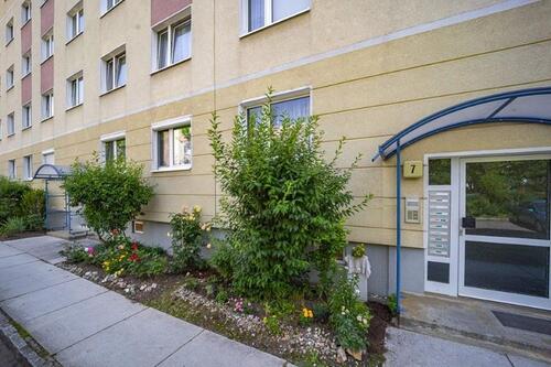 Foto - 3 Zimmer Etagenwohnung zur Miete in Dresden