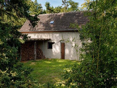 Foto - 5 Zimmer Einfamilienhaus zum Kaufen in Wittenberg Lutherstadt