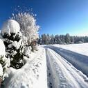 Foto - andere in Dietmannsried