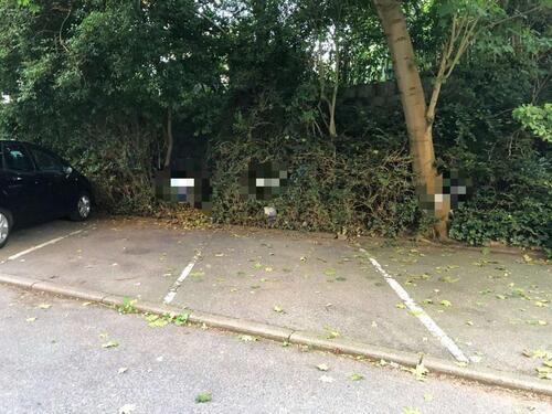 Foto - andere in Aachen