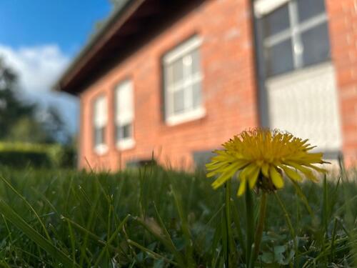 Foto - Bungalow zur Miete - 1.100,00 EUR Kaltmiete,